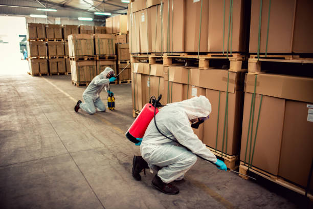 Best Mosquito Control Services  in Sierra Vista Southeast, AZ