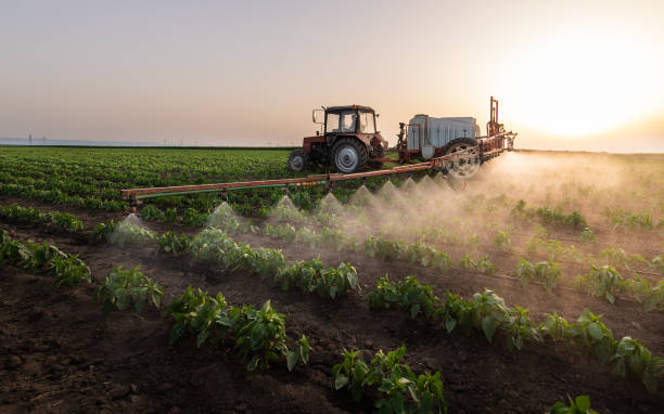 Best Pest Control Near Me  in Sierra Vista Southeast, AZ