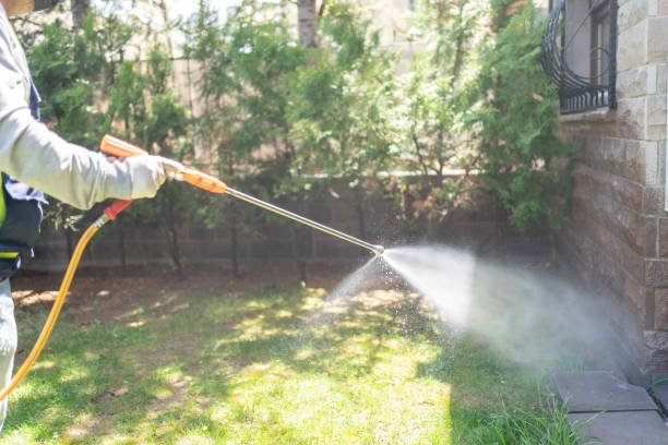 Best Local Pest Control Services  in Sierra Vista Southeast, AZ