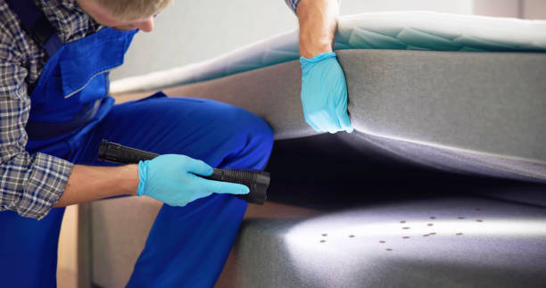 Pest Control for Restaurants in Sierra Vista Southeast, AZ