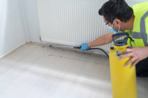 Insect Control in Sierra Vista Southeast, AZ